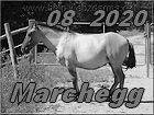Marchegg